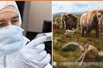 Các nhà khoa học đang cố gắng mang lại 9 loài đã tuyệt chủng 