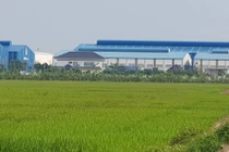 Biệt thự xây trên đất nông nghiệp ở Hải Dương: Huyện Gia Lộc yêu cầu tháo dỡ