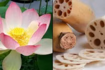 4 loại rau 'chất đống' ký sinh trùng, mắc ổ bệnh nếu không chế biến sạch