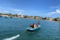 Trưởng thành hơn với những chuyến du ngoạn mùa hè