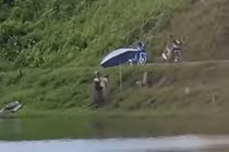 Vợ bất lực ôm con nhỏ đến tận điểm câu cá tìm chồng