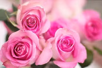 Nửa cuối tháng 2, 3 con giáp cần cù, tài lộc dồi dào