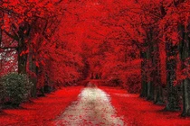 Tháng 8 Âm lịch, 3 con giáp đột phá thành công, nhẹ gánh áp lực