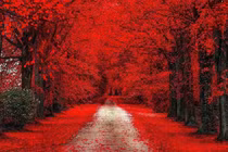 Tháng 8 Âm lịch, 3 con giáp đột phá thành công, nhẹ gánh áp lực