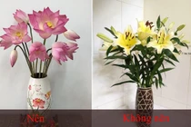 Những loài hoa nên đặt trên bàn thờ mang đến tài lộc 