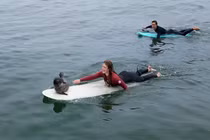 Hải cẩu con lại gần người lướt sóng, chuyên gia khuyến cáo