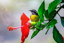 Thời đến không cản nổi: 4 con giáp đón tình yêu rực rỡ, tiền tài dư dả 