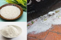 Gạo muối cúng xong đừng vứt bừa bãi, chỉ bạn cách để "hút lộc"