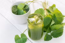 Loại rau mọc hoang được ví như thảo mộc của tuổi thọ