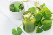 Loại rau mọc hoang được ví như thảo mộc của tuổi thọ