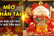 Mèo Thần Tài có quy tắc tay trái - tay phải: Đặt sai mất lộc