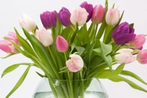 Người sinh vào 5 ngày Âm lịch này có đức có tài, già hưởng phúc