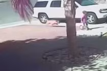 Video: Chó hoang tấn công đứa bé và cái kết bất ngờ