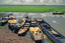 Trảng cỏ non đẹp như tranh ở hồ Trị An 