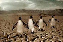 Trái đất sẽ ra sao khi con người biến mất? 