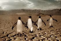 Trái đất sẽ ra sao khi con người biến mất? 