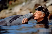 Tại sao cá heo lại cứu người? 