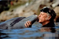 Tại sao cá heo lại cứu người? 