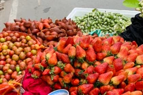 Hoa quả đặc sản tưởng rẻ hóa đắt, loại đắt lại rẻ không tưởng