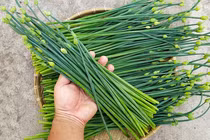 3 loại rau củ không lo thuốc bảo vệ thực vật còn nhiều dinh dưỡng