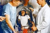 Điều gì xảy ra với con tinh tinh đầu tiên bay vào vũ trụ?