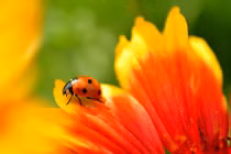 Ai sinh tháng Âm lịch này cả đời an nhàn, làm gì cũng kiếm được tiền