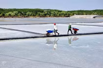 Về ấp Thiềng Liềng, săn ảnh đồng muối, trải nghiệm du lịch cộng đồng