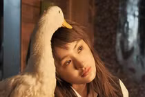 Ai cứu ca sĩ Hiền Hồ?