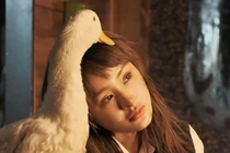 Ai cứu ca sĩ Hiền Hồ?