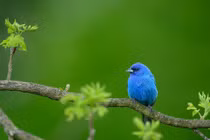 Cuối tháng 8, 4 con giáp lặng lẽ lên dốc, quý nhân trợ giúp