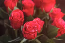 3 con giáp chớp thời cơ, cuối tháng 5 Âm lịch tài lộc hưng vượng