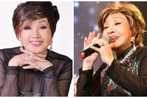 Chân dung nghệ sĩ Hồng Nga “kêu cứu” vì bị Youtuber quấy nhiễu