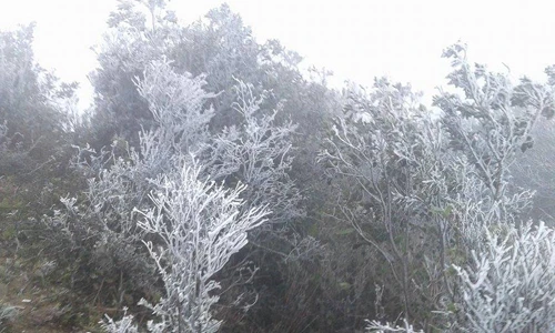 Băng tuyết phủ kín đỉnh Mẫu Sơn, nhiệt độ -2,1 độ C