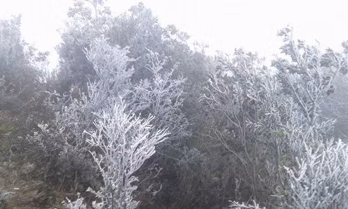 Băng tuyết phủ kín đỉnh Mẫu Sơn, nhiệt độ -2,1 độ C