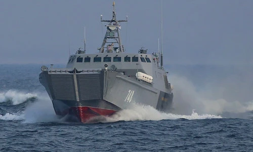 Thích thú tàu đổ bộ Dyugon Việt Nam định mua