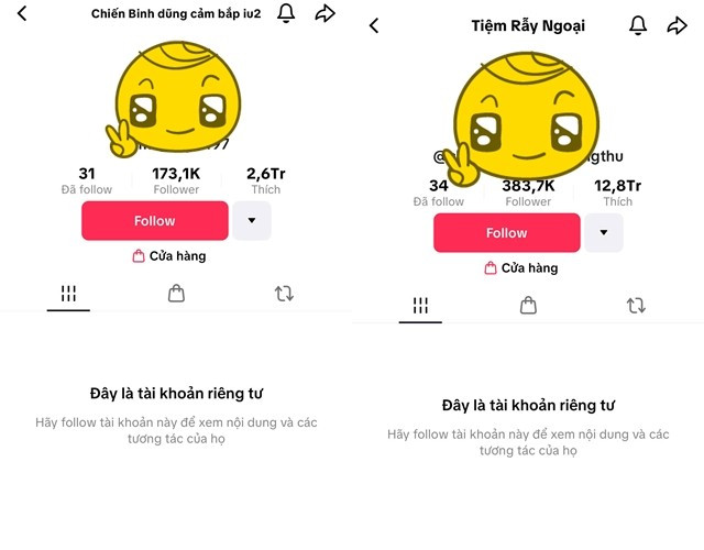 Hai tài khoản TikTok của mẹ Bắp đều được để riêng tư. me-bap-sao-ke.jpg
