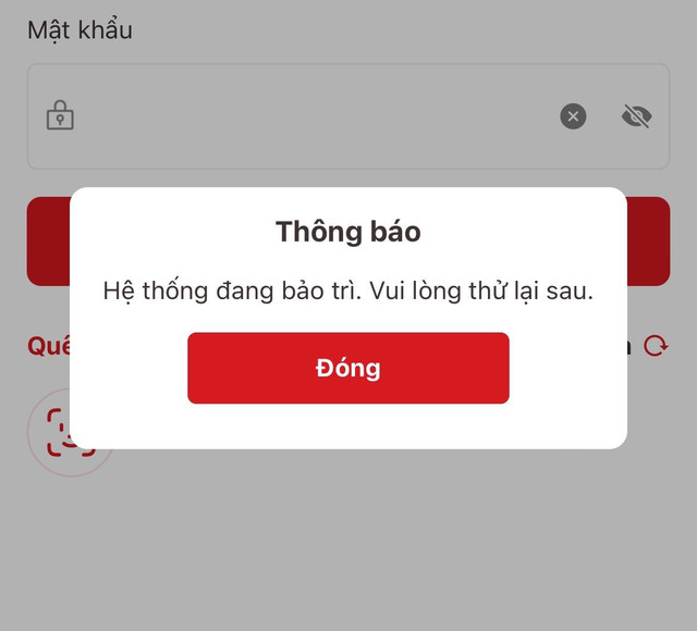 Hệ thống VNeID bị nghẽn sáng 30/6 có thể do nhiều người cùng lúc truy cập. 1.jpg
