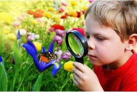 Dấu hiệu trẻ thông minh tột bậc, có thể thành thiên tài