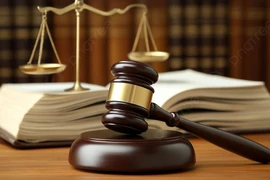 Đất Việt bị phạt 92,5 triệu liên quan đến phát hành và quản lý trái phiếu