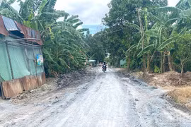 Ảnh chỉ mang tính chất minh họa