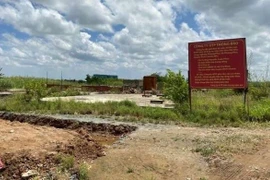 Khu công nghiệp liên tỉnh hình thành sau sáp nhập hứa hẹn tạo đột phá trong thu hút FDI và phát triển chuỗi cung ứng. Ảnh: PLO