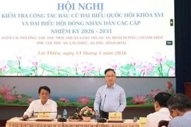 Phó Bí thư Thành ủy TPHCM Đặng Minh Thông đề nghị các địa phương tiếp tục tuyên truyền về Ngày hội non sông.