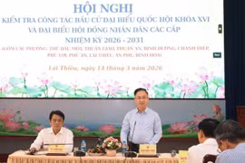 Phó Bí thư Thành ủy TPHCM Đặng Minh Thông đề nghị các địa phương tiếp tục tuyên truyền về Ngày hội non sông.