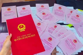 Tại tờ trình Dự thảo Luật Đất đai sửa đổi, Bộ Nông nghiệp và Môi trường đề xuất sửa đổi, bổ sung quy định về đăng ký đất đai, cấp sổ đỏ. Ảnh minh hoạ.