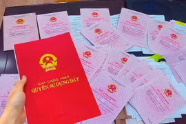 Tại tờ trình Dự thảo Luật Đất đai sửa đổi, Bộ Nông nghiệp và Môi trường đề xuất sửa đổi, bổ sung quy định về đăng ký đất đai, cấp sổ đỏ. Ảnh minh hoạ.