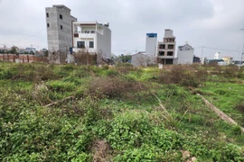 Nhà đầu tư méo mặt "ôm" đất chờ lên quận (Ảnh: NH)