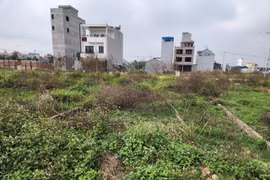 Nhà đầu tư méo mặt "ôm" đất chờ lên quận (Ảnh: NH)