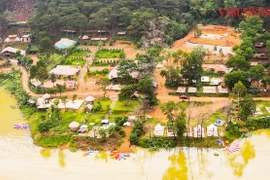 Homestay, farmstay sau sốt đã ‘vô phương cứu chữa’?