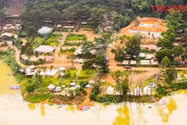 Homestay, farmstay sau sốt đã ‘vô phương cứu chữa’?