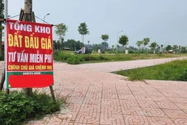 Mỗi địa phương có biên độ điều chỉnh mức giá đất khác nhau nên thị trường bất động sản sẽ chịu nhiều tác động